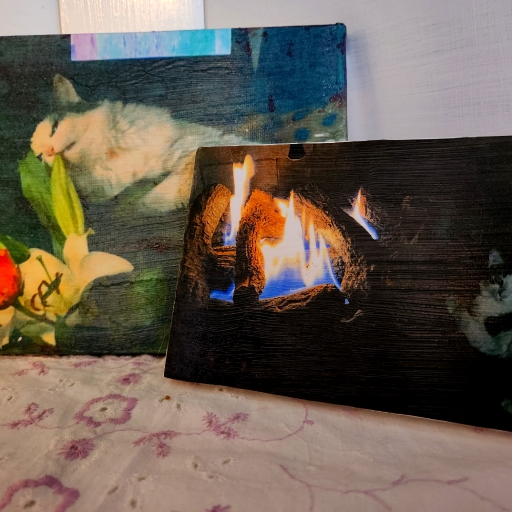 Pop Art: 2 Mini Canvas Cat Image Transfer Collages, Handmade